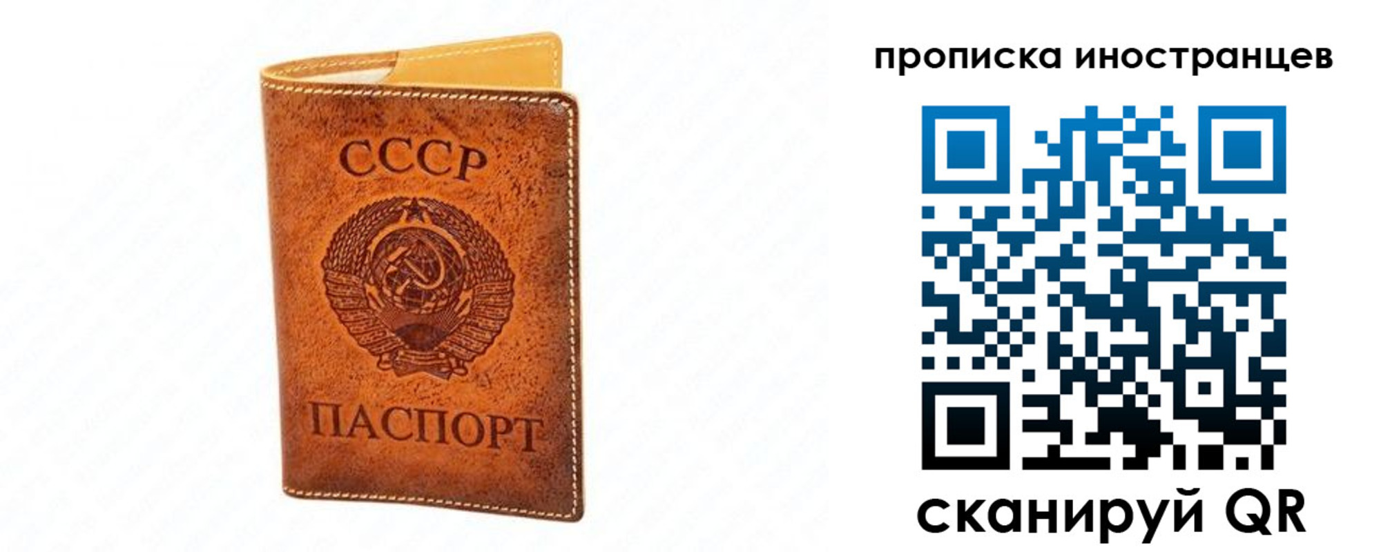 прописка для школы в Малой Вишере